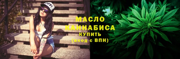 гашик Бородино