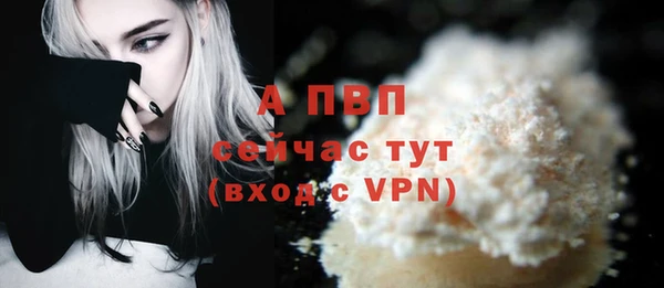 гашик Бородино