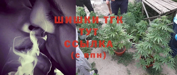 круглые Бронницы