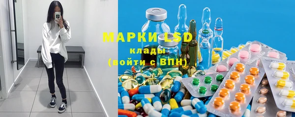 гашик Бородино