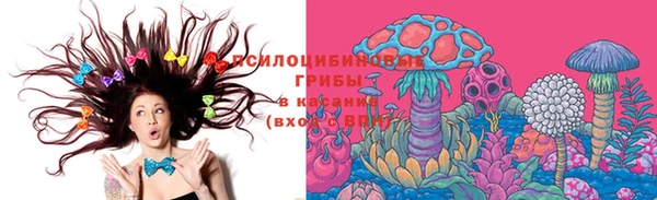 молекула духа Волосово