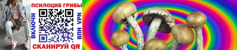 как найти закладки  Дюртюли  Галлюциногенные грибы GOLDEN TEACHER 